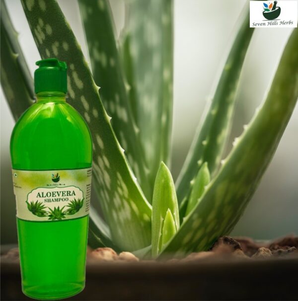 Aloevera shampoo